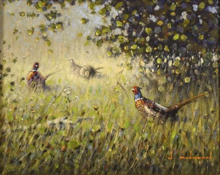 ROHRBACH, Walter (1939, Rothenburg an der Fulda - 