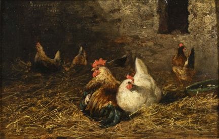 HARPIGNIES  | Actualización
 

 
Aves de corral en