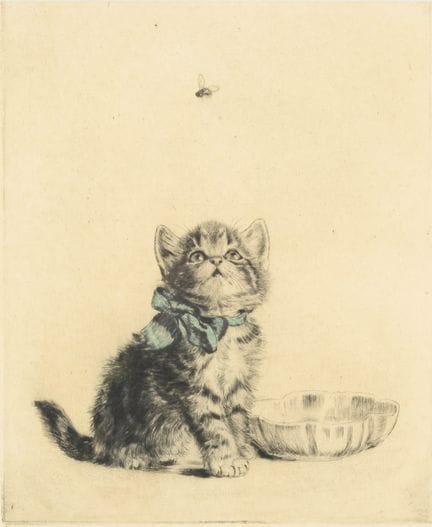 PLÜCKEBAUM,  Meta (1876 - 1945)  
 

 
Chaton avec