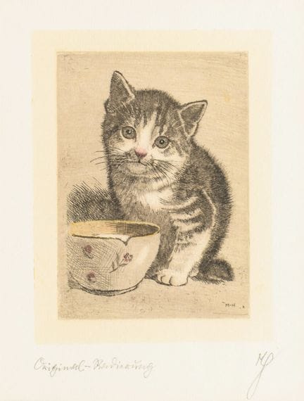 MONOGRAMMISTE MH,  

Portrait de chat 

Gravure co