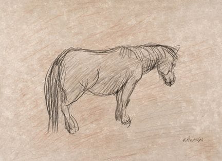 Wilhelm Rudolph, Pony im Regen / Liegendes Kamel. 