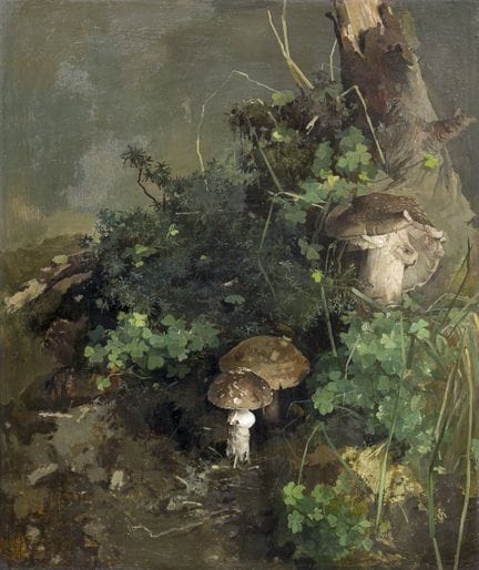 Willy Kriegel, Coin de forêt avec des champignons.