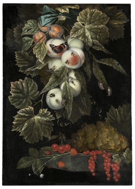 Ottmar Elliger l’Ancien, « Feston de fruits et d’i