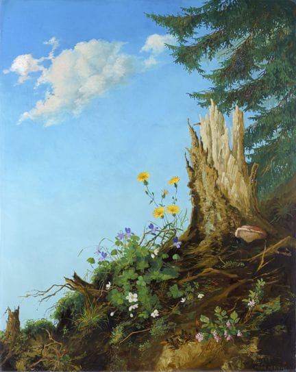 Minni (Hermine) Herzing, Parcelle de forêt avec ra