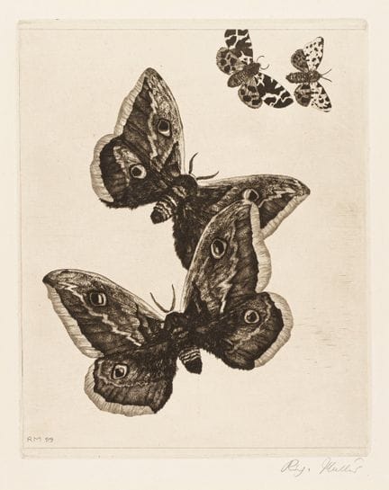 Richard Müller "Vier Schmetterlinge". 1899.
Richar