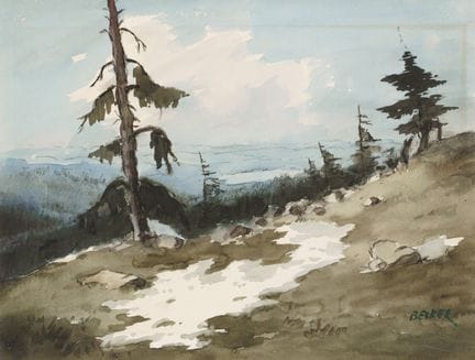 Willy Becker, Letzter Schnee – Osterzgebirgskamm. 