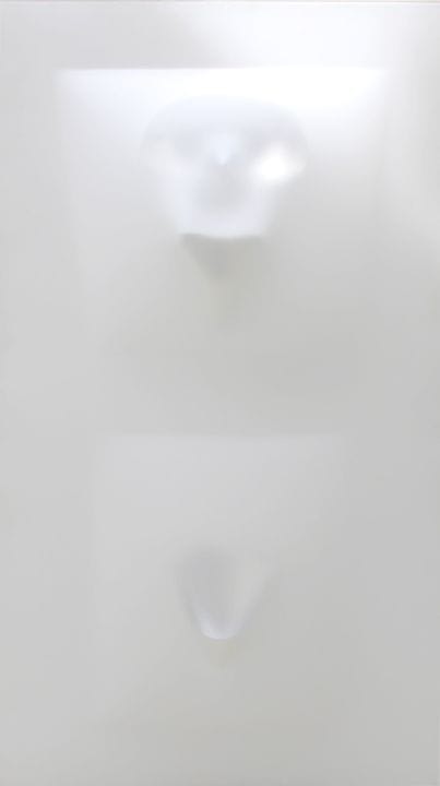 RADI Paolo
L'altro luogo, 2007, plexiglas et PVC s