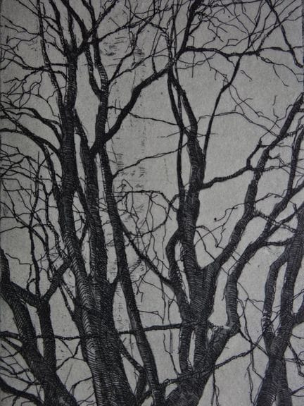 Anderson, Friedel (Oberhausen 1954). Kahler Baum. 