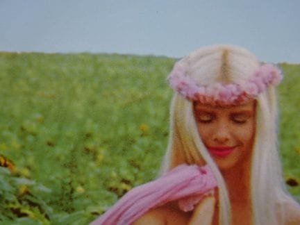Kiss, Ilona (?). Inmitten von Sonnenblumen. Farbfo