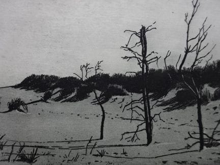 Anderson, Friedel (Oberhausen 1954). Strandlandsch