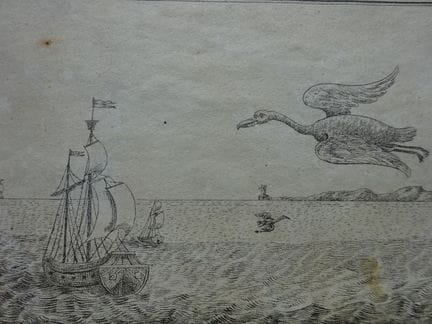 La Rosée, F. Graf v. Recueil de fleurs et de fruit