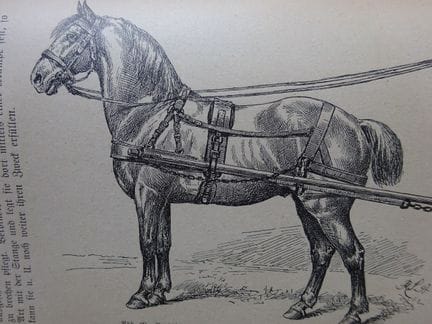 Schoenbeck, R. Reiten und Fahren. Anleitung zur Ke