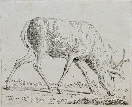 Tischbein, Johann Heinrich d.J. (Haina 1742 - 1808