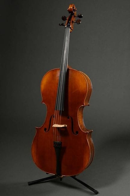 Violoncelle, Allemagne, seconde moitié du XXe sièc