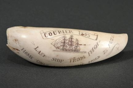 Scrimshaw "Courier 1853", bez. "Last Ship From FEE