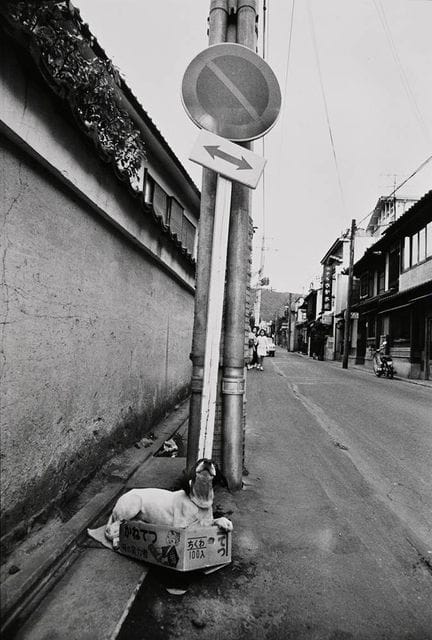 Erwitt, Elliott (1928-2023) "Kyoto" 1970, Fotograp