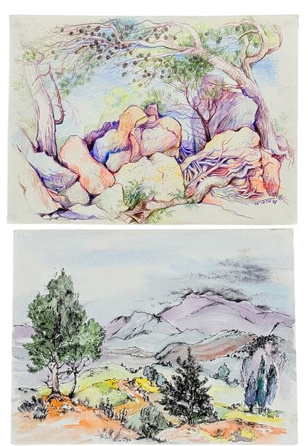 Martin Wirth, Pine grove near Sóller on Mallorca a