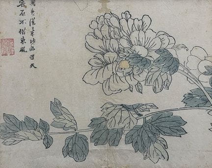 Illustration from the Mustard Seed Garden Manual, 