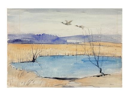 Willy Habl, River Landscape with Ducks in Flight a
