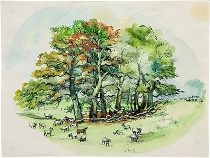 Martin Wirth, Hof Tütsberg on Lüneburg Heath, grou