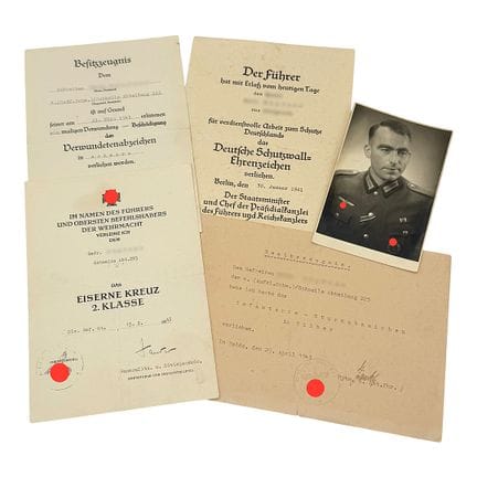 Fascicolo del reparto Schnelle 223, Medaglia del V