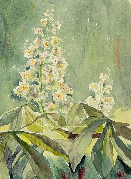 Curt Creutz, fioritura del castagno, ramoscello di