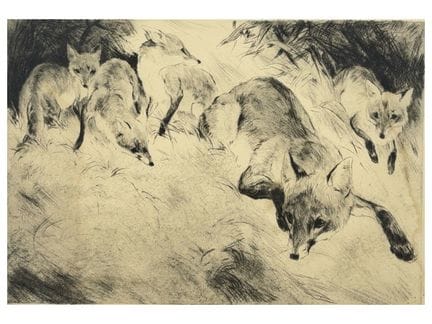 库尔特·迈耶-埃伯哈特，《草坡上的母狐与四只幼崽》
（1895—1977）， 纸本蚀刻版画，右下角铅