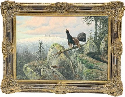 Carl Zimmermann, Gallo cedrone in parata davanti a