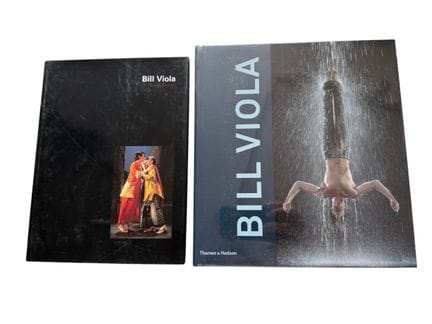 BILL VIOLA
- Bill Viola, Burried Secrets, 1995
- B
