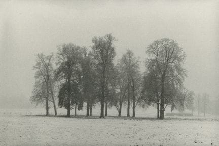 Jérémy LEMPIN (XX) 
Versailles Park, winter, Franc