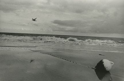 Jérémy LEMPIN (XX) 
The Seagull and the Buoy, Deau