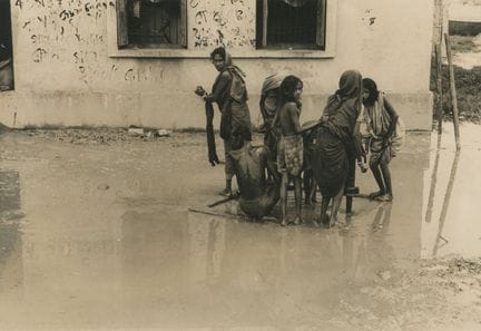 Harmit SINGH
Men, women, and children washing them