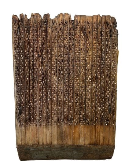 A pin-type threshing sled, known as a “tribulum,” 