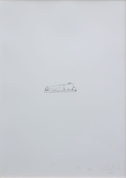 Erwin Wurm* (born 1954 in Bruck an der Mur)
Questi