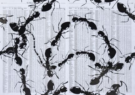 Peter Kogler* (born 1959 in Innsbruck)
Ants, 2005
