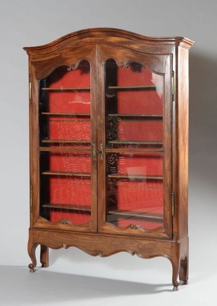 A narrow mahogany bookcase with two glass-paned do