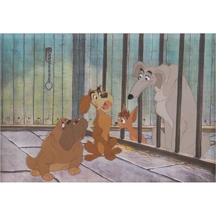 Cel di produzione dei cani del canile (Bull, Tough