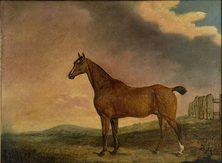 亚伯拉罕·库珀（1787-1868）  乔治·格雷恩杰的科布马肖像。 查尔斯·桑顿爵士的画作。英国摄