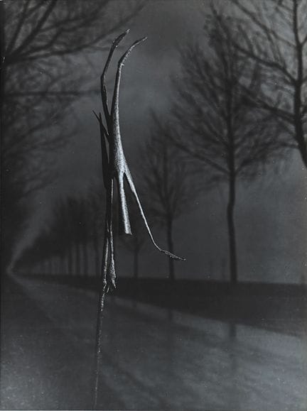 ROBERT DOISNEAU 1912–1994
Skulptur, 1952.
Fotograf