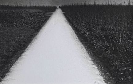 SHOJI UEDA 1913-2000
Invierno, el camino blanco, T