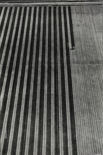 GEORG GERSTER 1928–2019
Landwirtschaft, „Imperial 