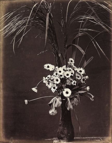 查尔斯·加斯帕德·亨利·加蒂克 1858-？
《雏菊花瓶静物》，1880-1883年。
摄影作品。蛋