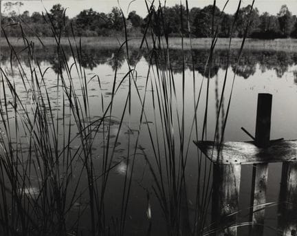 RENÉ MALTÊTE 1930–2000
Teich in der Sologne, 1975.
