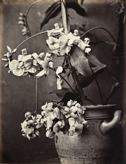CHARLES GASPARD HENRI GATTIKER 1858-?
Étude d'orch