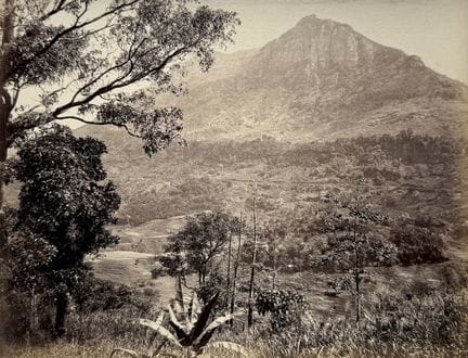CEYLAN - WILLIAM LOUIS HENRY SKEEN 1847-1903, attr