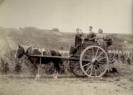 WEINLESER
Weinleser, Frankreich, um 1880.
Fotograf