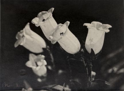 BLANC &amp; DEMILLY – THÉODORE BLANC 1891–1985 – A