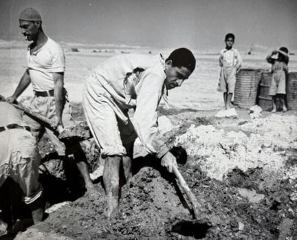 CISJORDANIE - JÉRICHO
Ensemble de photographies su