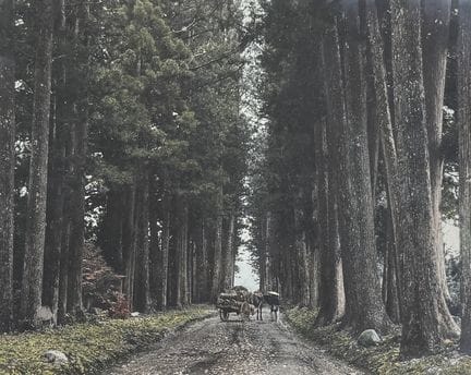 JAPON
Route Imaichi, Nikko, Japon, ca.1880.
Photog