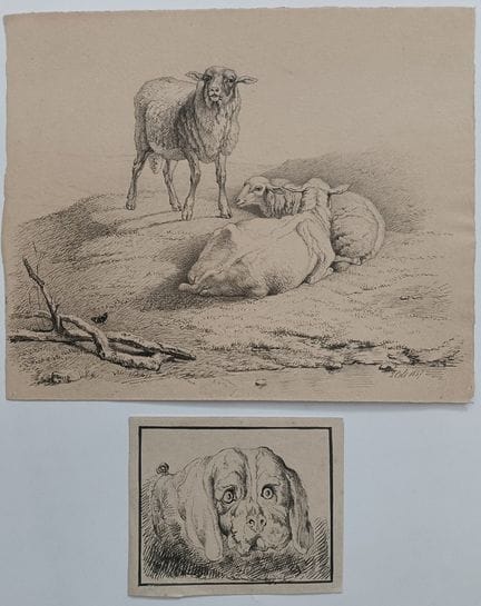 Jean-Michel Cels (1819-1894) - «Pecore e cane» - D